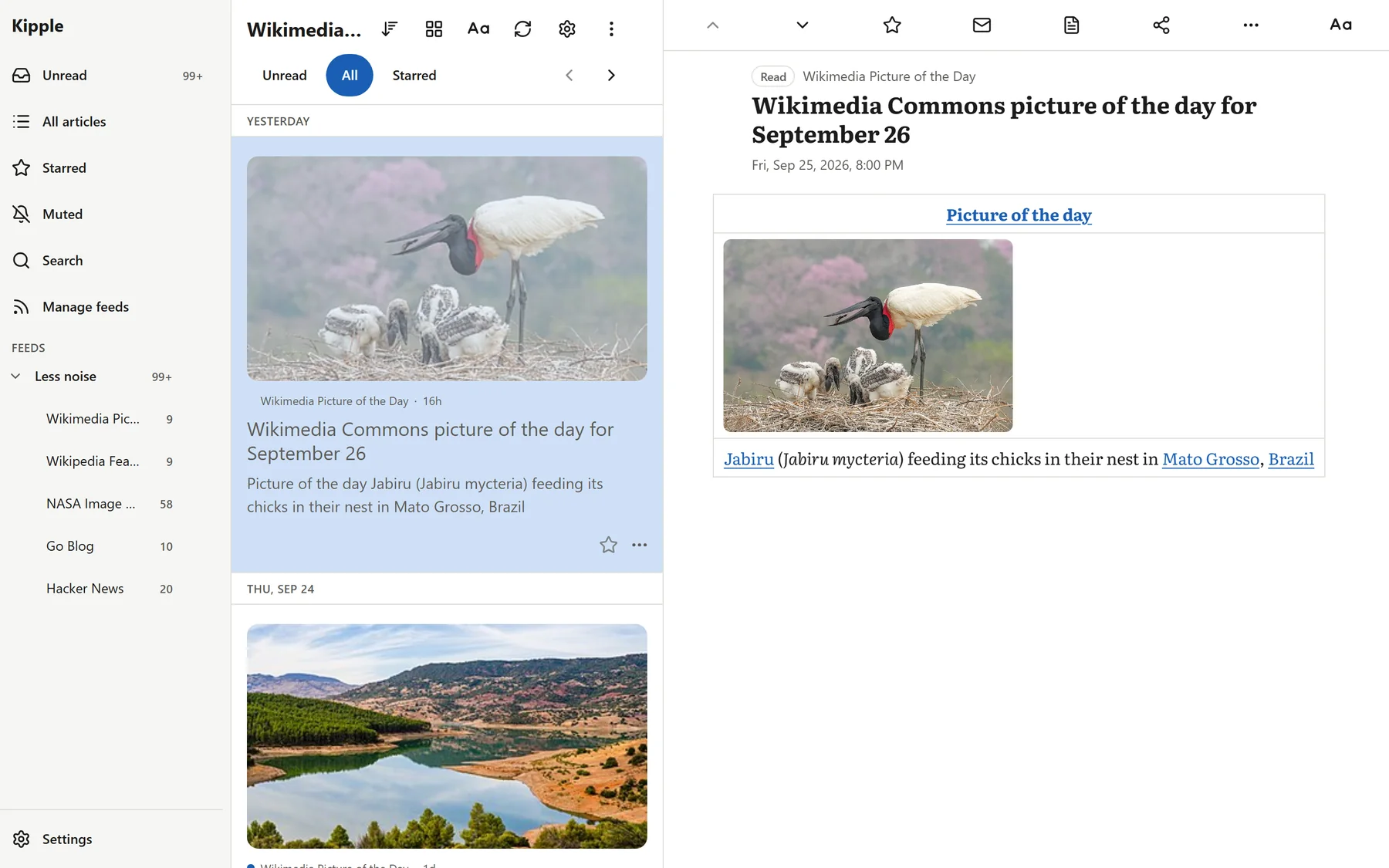 Kipple on a desktop in the Paper color scheme. A feed list on the left, article cards in the middle with a large photo of a jabiru and its chicks, and the article open on the right.